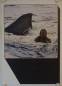 Preview: Jaws 2 original release german A1 movie posters